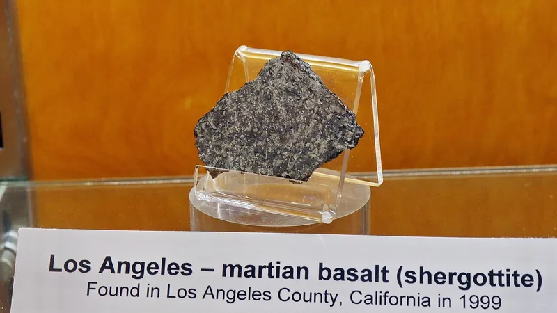 A dark grey slice of a Martian meteorite on display in a museum case